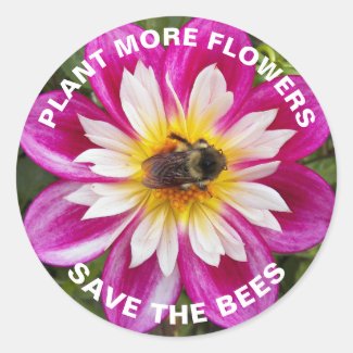 Save the Bees Bumblebee on Pink Dahlia Flower Classic Round Sticker