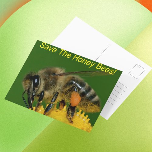 Save the Bees Green Postcard
