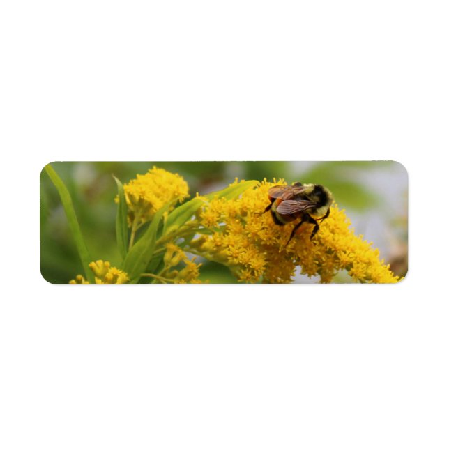 Save the Bees Label (Front)