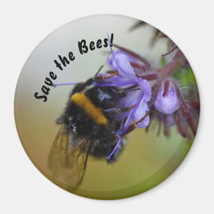 "Save the Bees!" Magnet