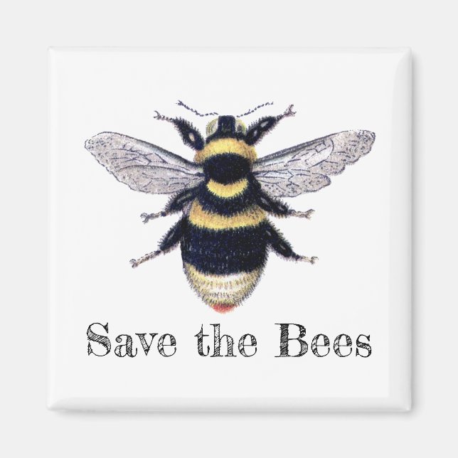 Save the Bees Magnet (Front)