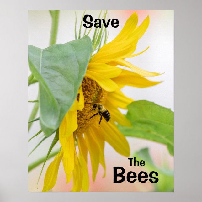 Save The Bees Poster (Front)
