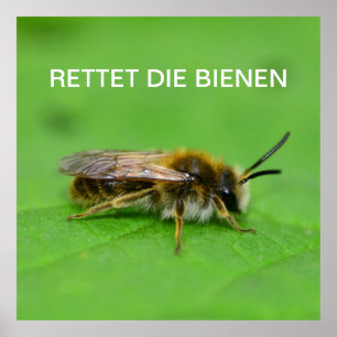 Save the bees poster