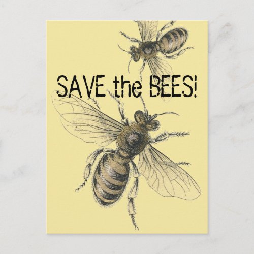 Save the Bees Vintage Bee Images Postcard