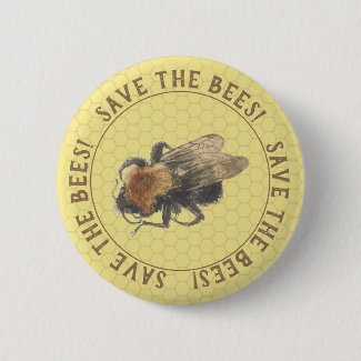 Save the Bees |  Vintage Honeybee & Honeycomb Button