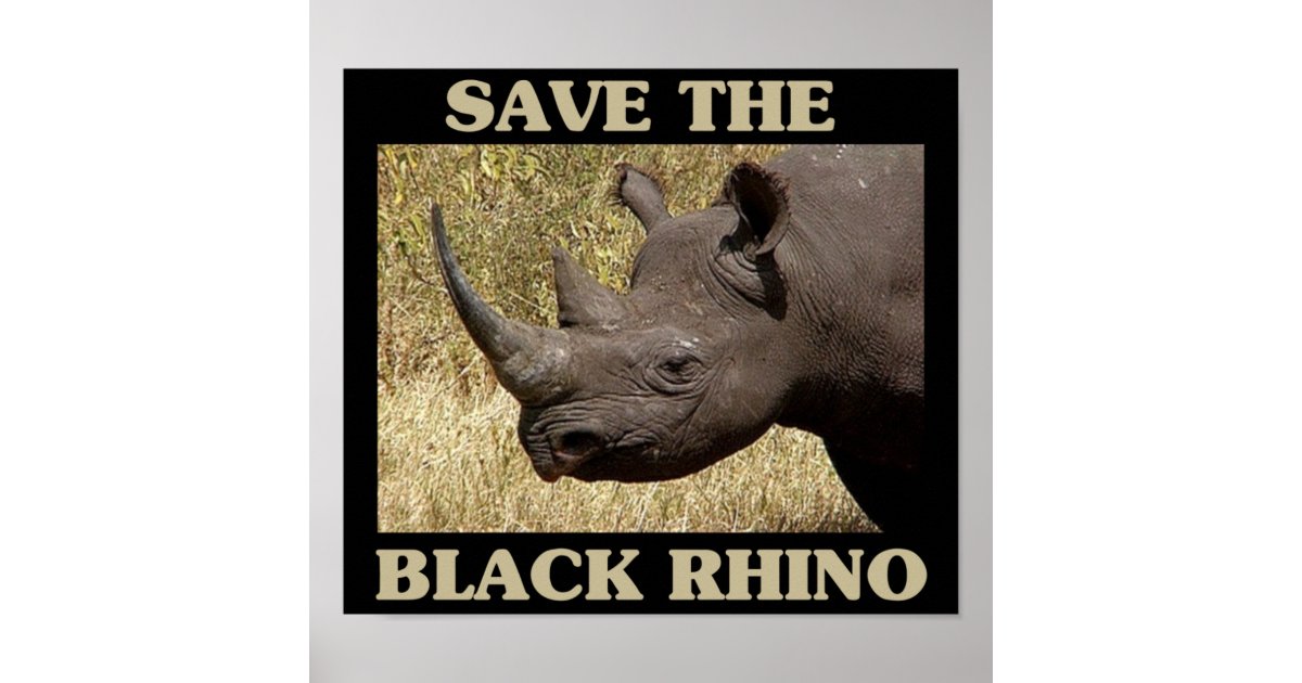 Save the Black Rhino Poster | Zazzle