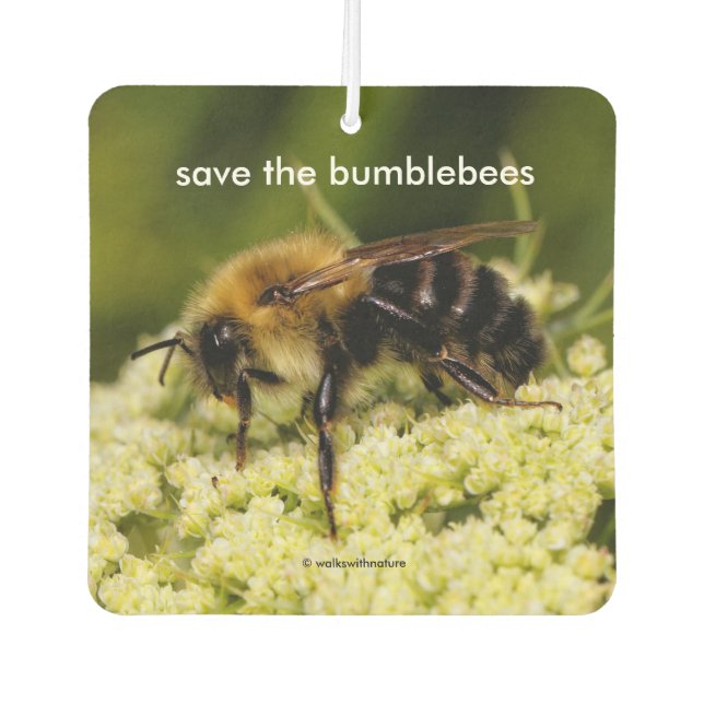 Save the Bumblebees Pollinating Flowering Carrot Air Freshener (Front)