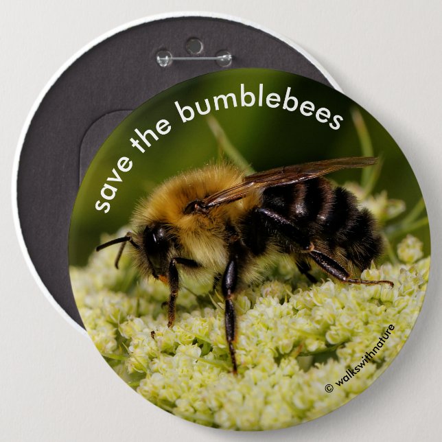 Save the Bumblebees Pollinating Flowering Carrot Button (Front & Back)