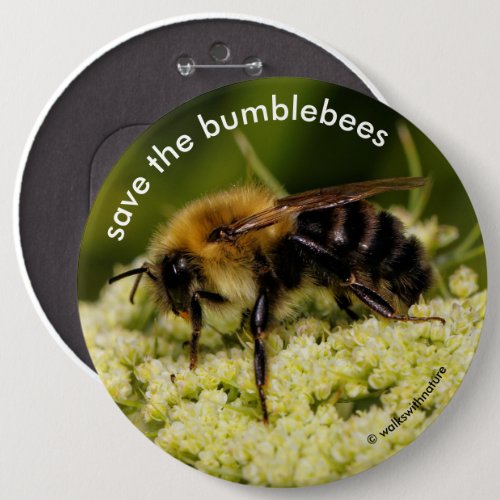 Save the Bumblebees Pollinating Flowering Carrot Button