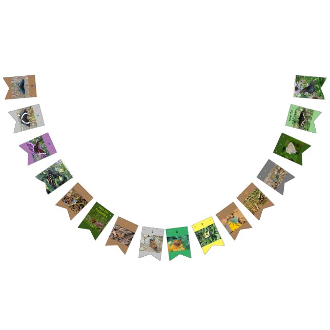 Save the Butterflies Birthday Banner (All)