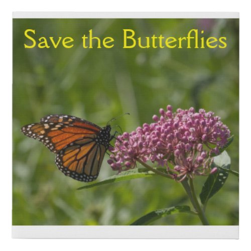 Save the Butterflies Canvas Print