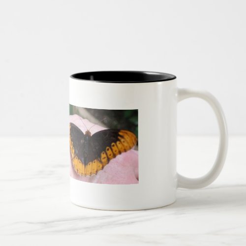 Save the Butterflies Couples Mugs His