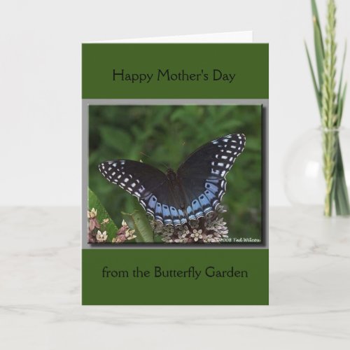 Save the Butterflies Diana Mothers Day Card