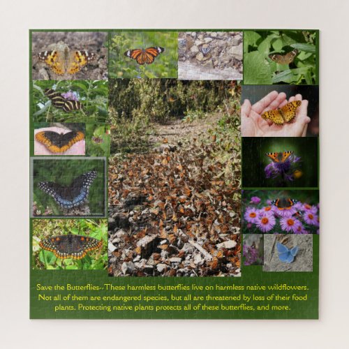 Save the Butterflies Jigsaw Puzzle