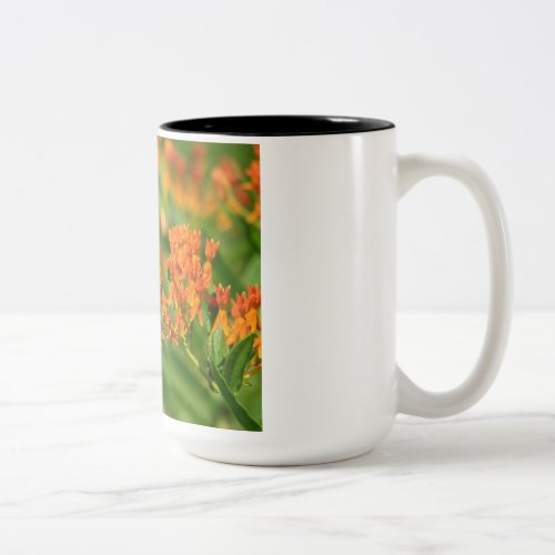 Save the Butterflies NorthSouth Mug__South Two_Tone Coffee Mug