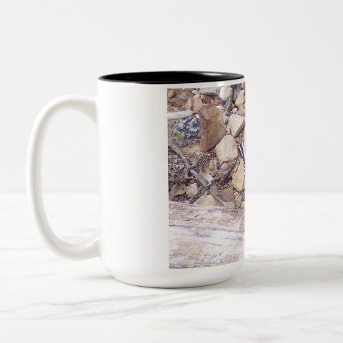 Save the Butterflies NorthSouth Mugs__North  Two_Tone Coffee Mug