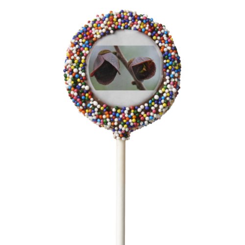 Save the Butterflies Oreo Cookie Pops