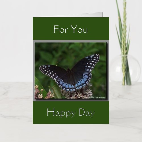 Save the Butterflies Silver Any Occasion Card