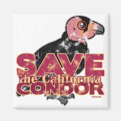 Save the California Condor Magnet