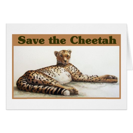 Save the Cheetah Cards (Front Horizontal)
