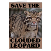 Save the Clouded Leopard (Front)