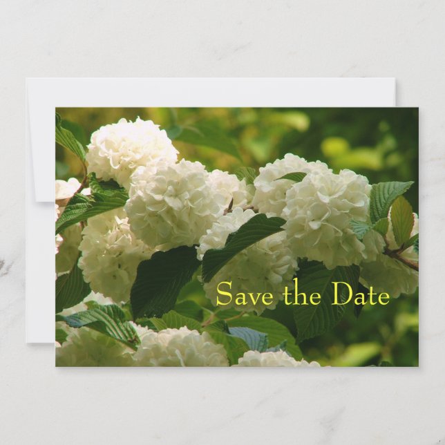 Save the Date (Front)