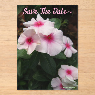 Save The Date 2025/26