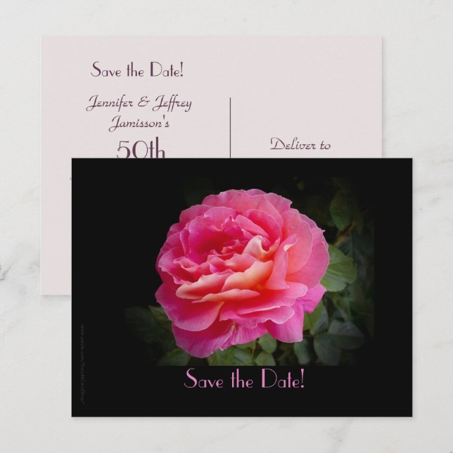 Save the Date 50th Anniversary Party Pink Rose Announcement Postcard (Front/Back)