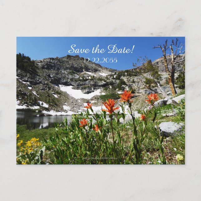 Save the Date 50th Birthday Party Announcement Postcard (Front)
