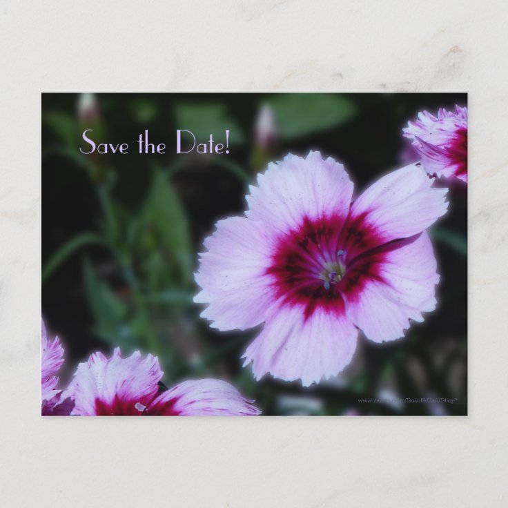 Save the Date 60th Birthday Celebration Postcard | Zazzle