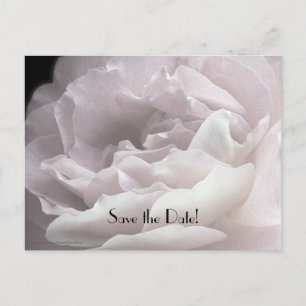 Save the Date 65th Birthday Celebration Postcard