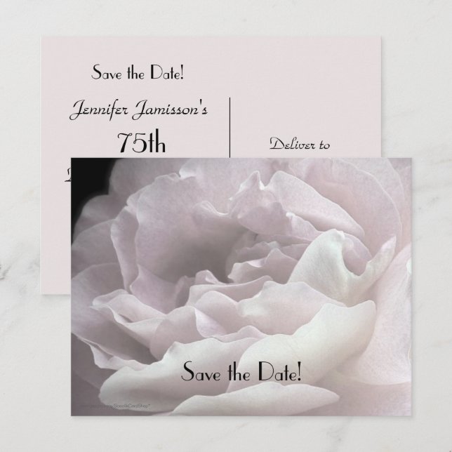 Save the Date 75th Birthday Party Rose Petals Announcement Postcard (Front/Back)