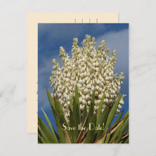 Save the Date 80th Birthday Celebration Postcard