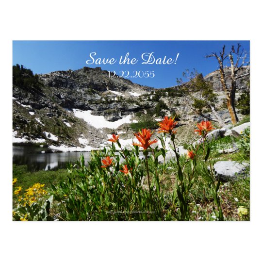 Save the Date 80th Birthday Party Announcement Postcard | Zazzle.com