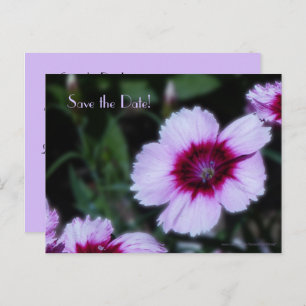 Save the Date 80th Birthday Party Purple Flowers Announcement Postcard