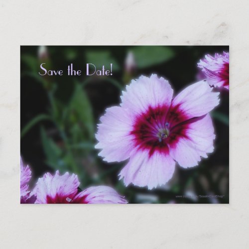 Save the Date 80th Birthday Party Purple Flowers Announcement Postcard