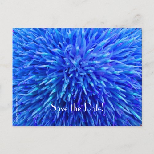 Save the Date 90th Birthday Party Blue Abstract Announcement Postcard