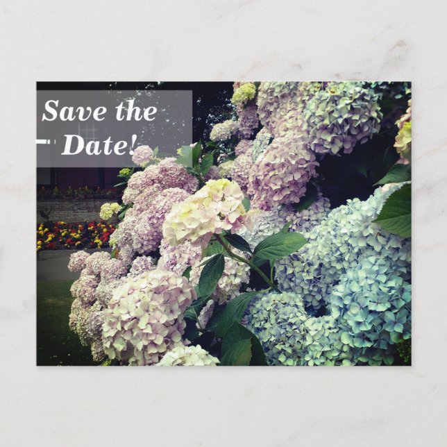Save the Date 90th Birthday Party, Floral Postcard (Front)