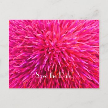 Save The Date 90th Birthday Party  Pink Abstract Announcement Postcard by SocolikCardShop at Zazzle