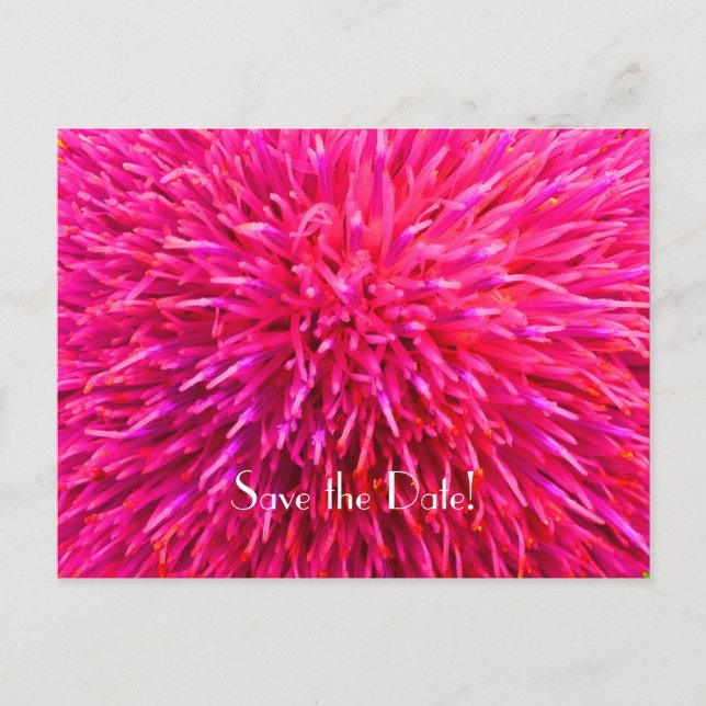 Save the Date 90th Birthday Party, Pink Abstract Announcement Postcard (Front)