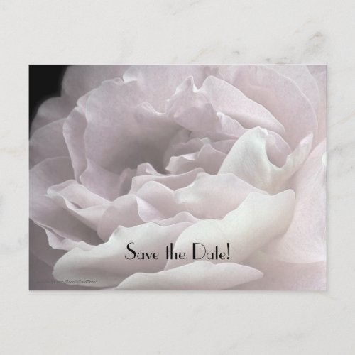 Save the Date 95th Birthday Party Petals Postcard