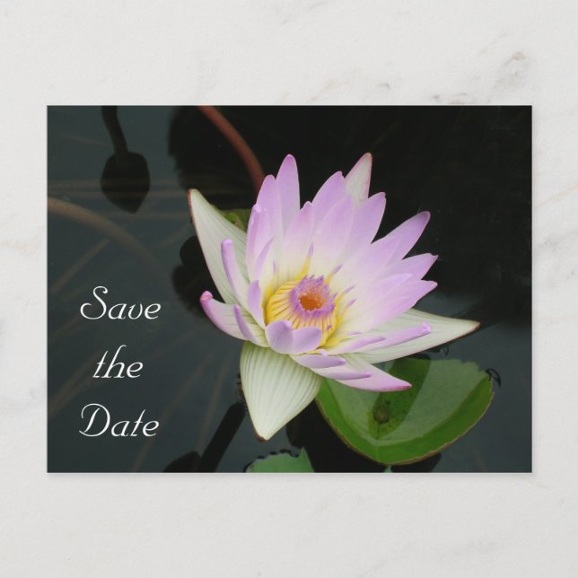 Save the Date Announcement Postcard (Front)
