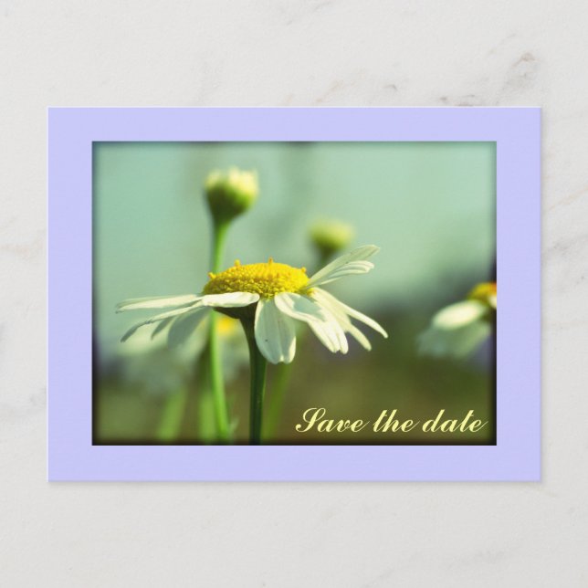 Save the date announcement postcard (Front)