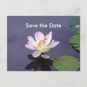 Save the Date Announcement Postcard