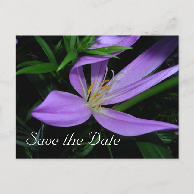 Save the Date Announcement Postcard (Front)