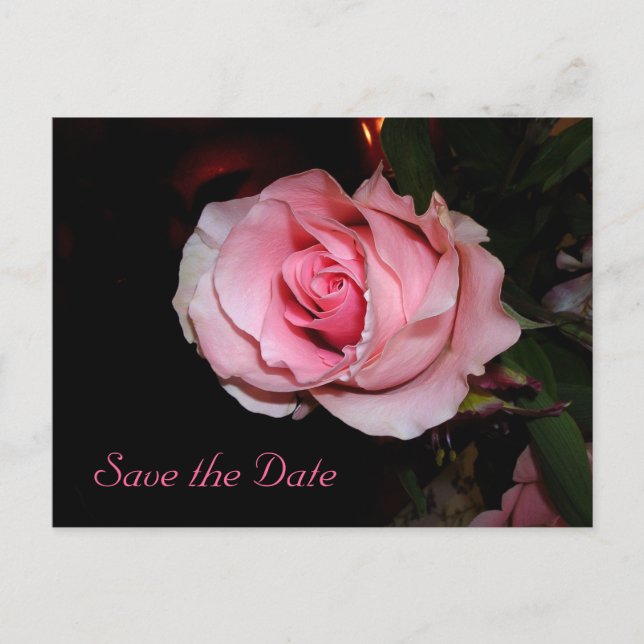 Save the Date Announcement Postcard (Front)
