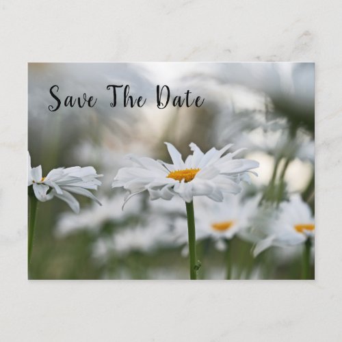 Save The Date Birthday Announcement Postcard