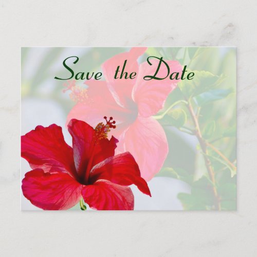 Save the Date Bridal Red Hibiscus Announcement Postcard