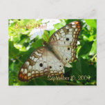 Save the Date Butterfly on Jasmine Postcard