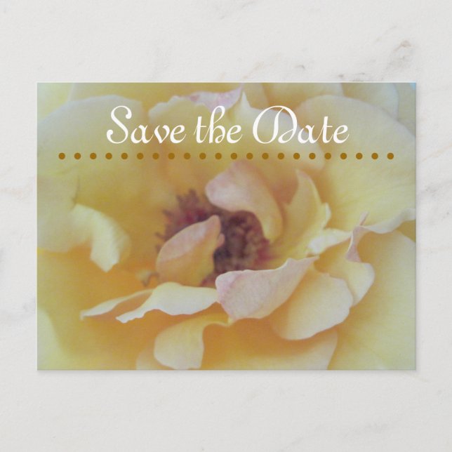 Save The Date Cards (Front)
